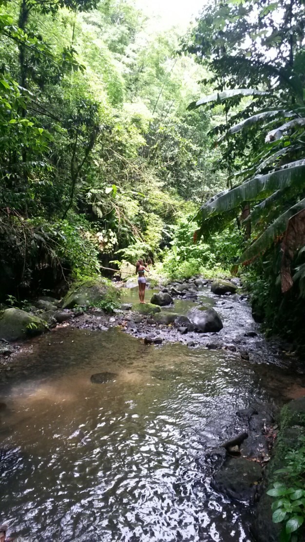 20150730_130305_resized