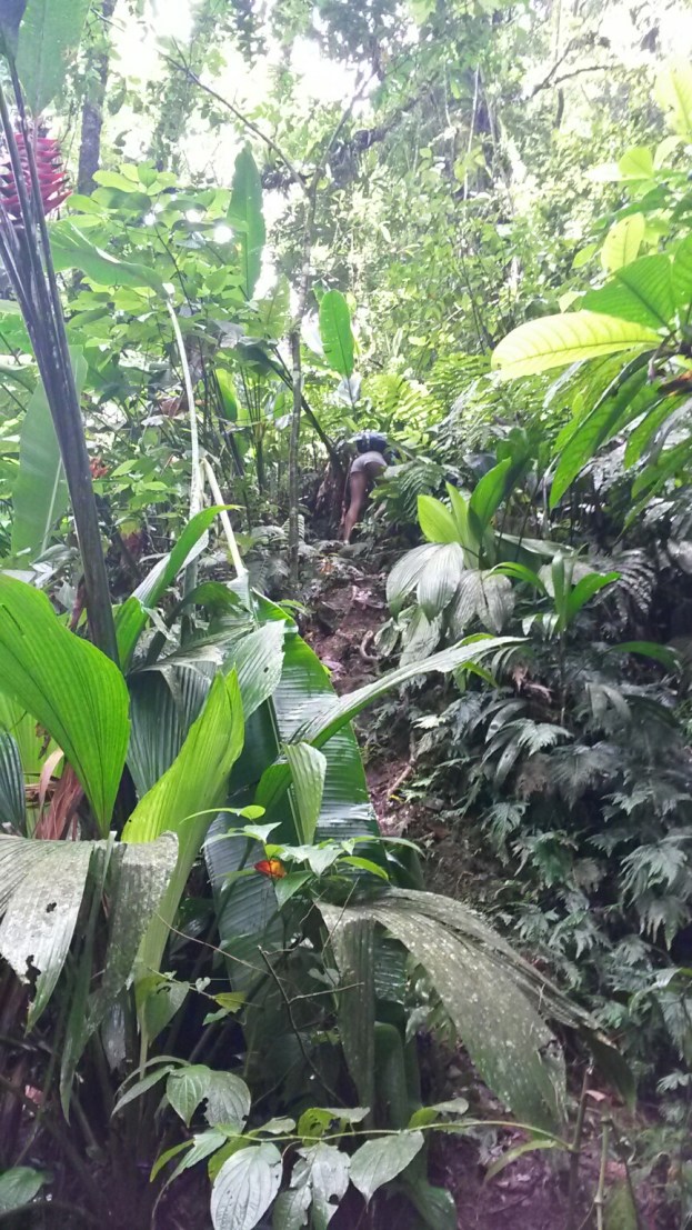 20150730_131642_resized