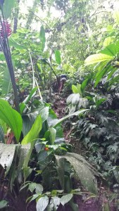 20150730_131642_resized