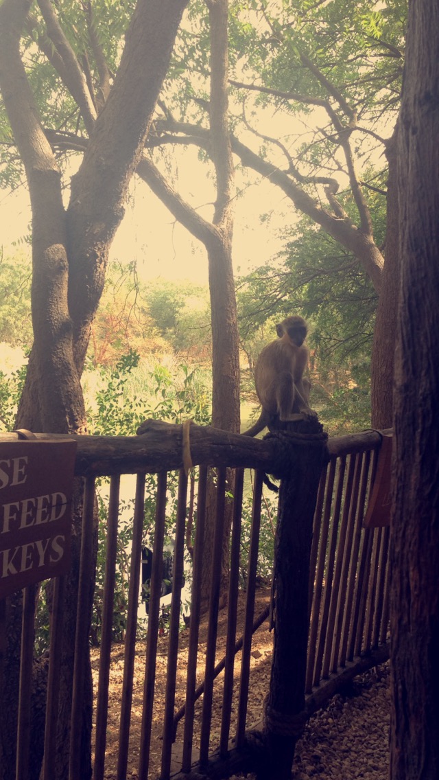 Senegal ☀️✈️🇸🇳