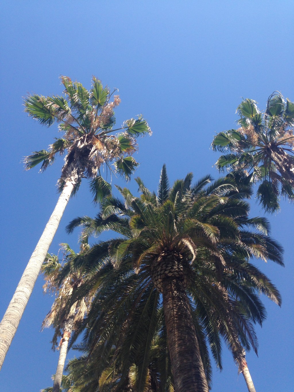 Los Angeles – Malibu&nbsp;☀️