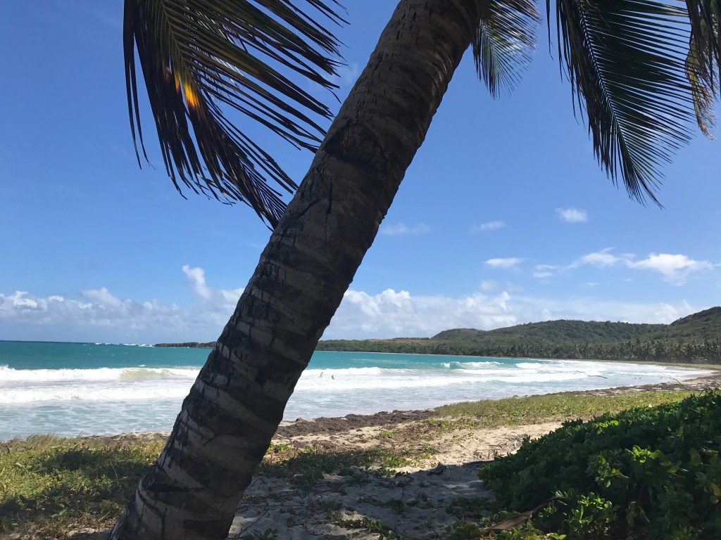 Exploring a bit of Martinique&nbsp;🌸