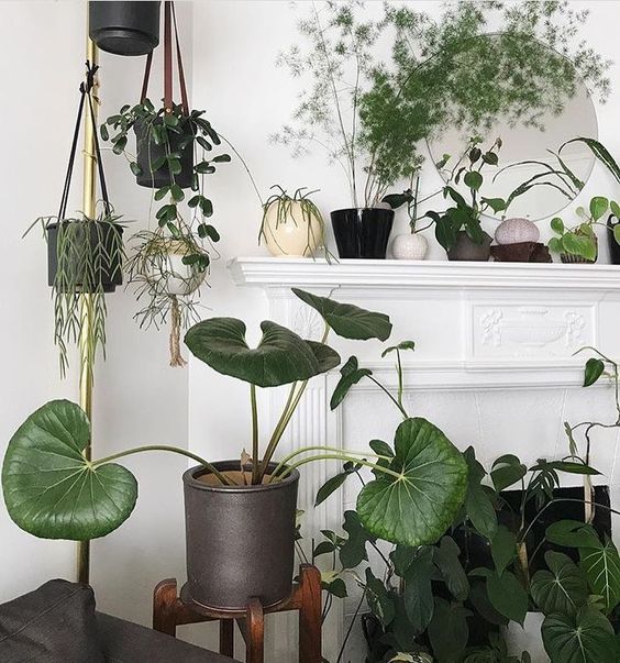 8466699592219dab9f1d26d03a51e2de